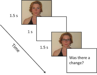 Illustration for article titled Breaking: ESP still bullshit, say scientists